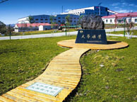 吴忠天华矿业集团